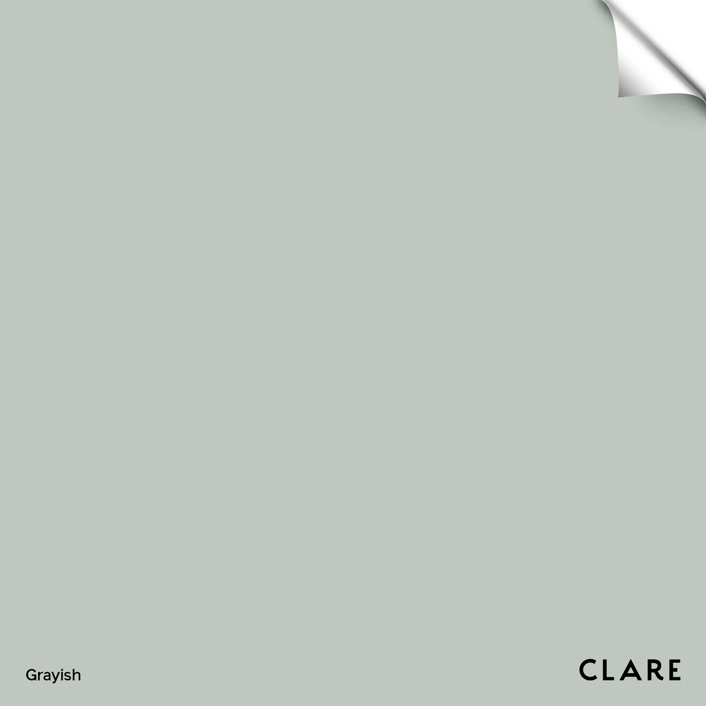 Grayish - Swatch