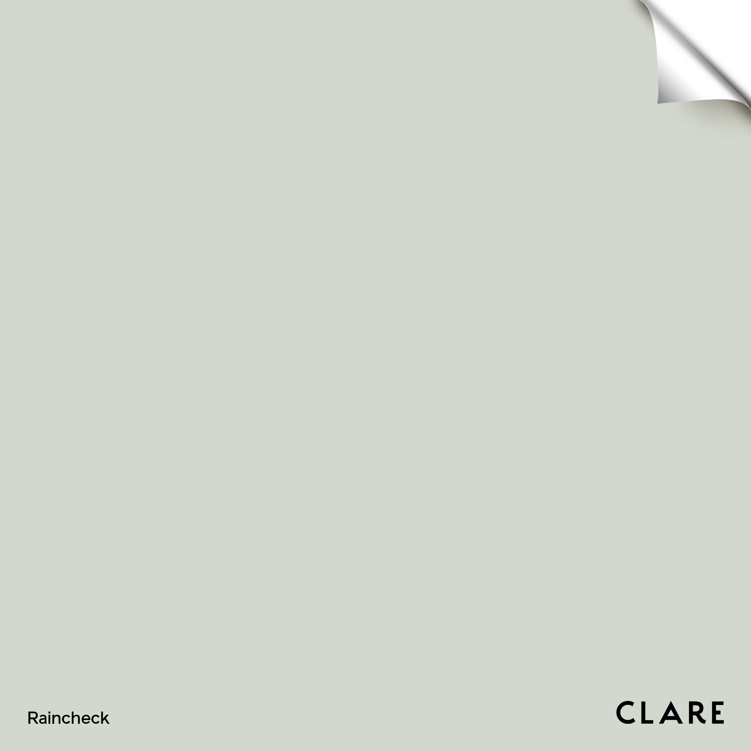 Rain Check - Swatch