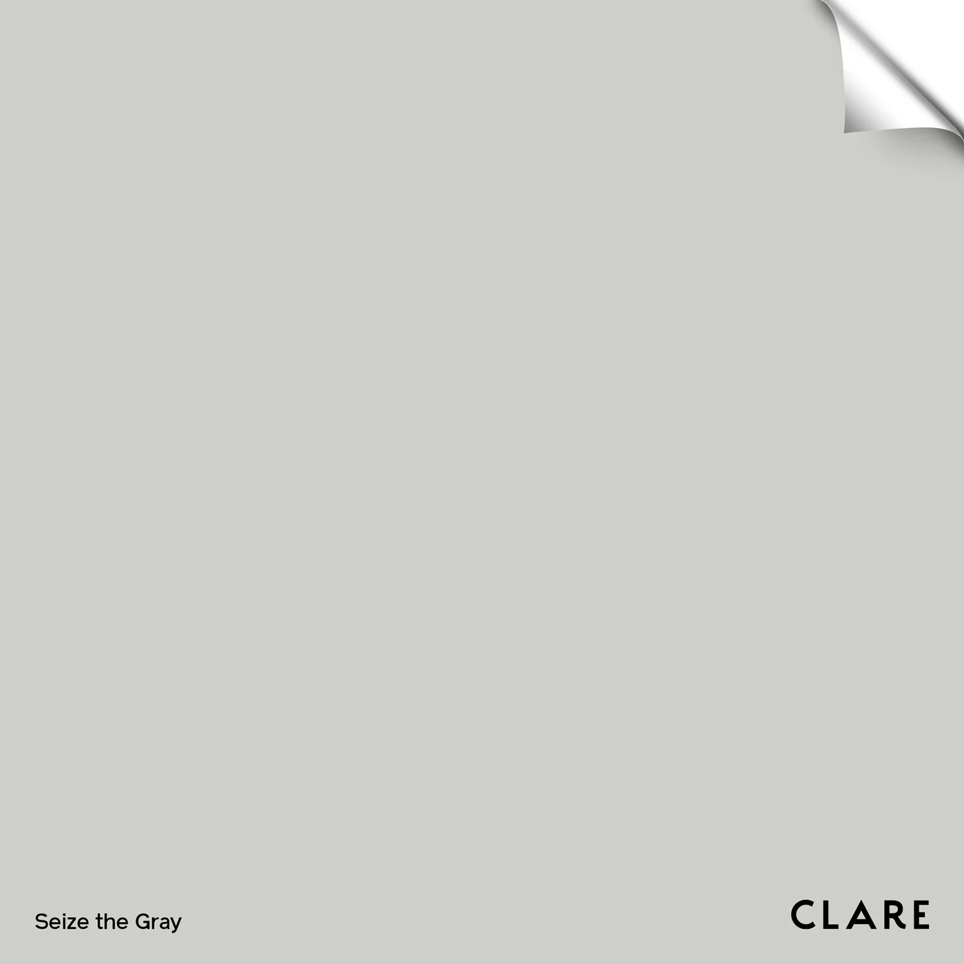 Seize The Gray - Swatch